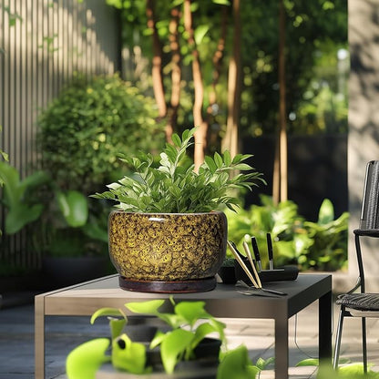 SQOWL 10 Inch Plant Pot - Ceramic Flower Pots with Drainage Hole and Saucer, Ceramic Planter for Indoor Plants Outdoor, Decorative Round Large Planter, House Decor, Gifts for Women Men, Yellow