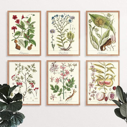 YUMKNOW Farmhouse Vintage Botanical Wall Decor - Unframed Set of 6, 8x10, Boho Cottagecore Plant Leaves Room Decor for Bathroom, Bedroom Art Posters Prints, Aesthetic Flower Pictures Office Kitchen