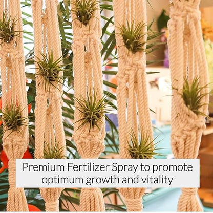 Professional Air Plant Pump Spray Fertilizer Mist | Pre Mixed for Weekly Use | Gentle Blend & Gardening Supplies | 4 oz Bottle