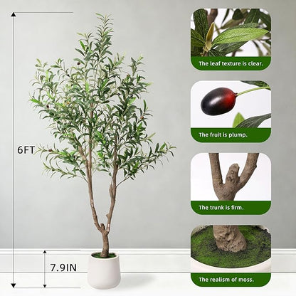 Fake Tree Faux Olive Tree with White Tall Planter Tall Fake Plant Faux Trees Indoor Olive Trees Artificial Indoor Suitable for Home Decoration Hotel Dining Room Office Decoration 6 Feet Tall