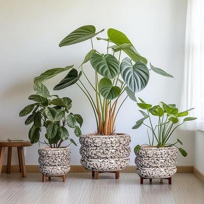 SQOWL Ceramic Plant Pots - 8 Inch Ceramic Planter for Indoor Plants Outdoor, Round Planter with Drainage Hole, Round Decorative Flower Pots, Living Room Office Garden Decor, Gardening Gifts, White