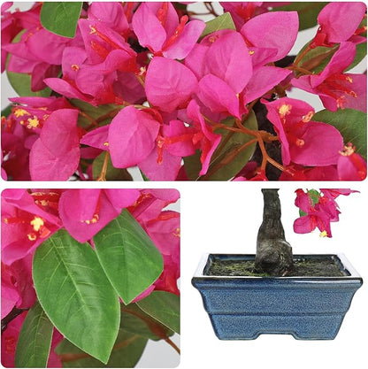 Briful Artificial Bougainvillea Tree in Blue Pot 18.5" Tall Faux Bougainvillea Floral Tree Tropical Silk Fake Flower Plant for Home Office Living Room Table Décor(Pink)