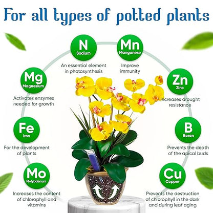 All-Purpose Liquid Plant Food Fertilizer | Easy Use No-Mix Spikes for Indoor House Plants & Outdoor Flowers | Bloom Booster Nutrient Solution for Vibrant Growth & Strong Roots | Made in The USA