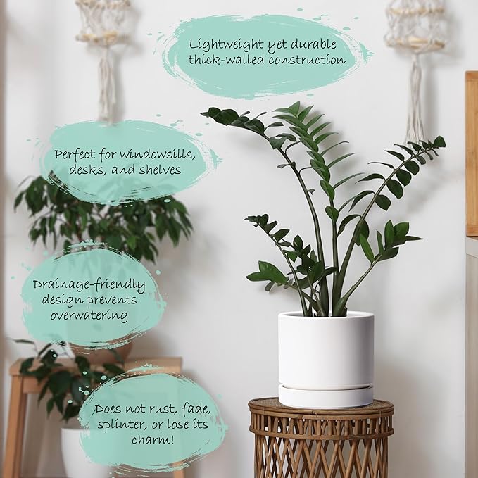 Phoenix Vine 8 Inch Planter Pot with Drainage Hole & Saucer, Deep Water Catch Tray, Straight Cylindrical Round Pot for Plants, Matte White, Pack of 1, 23-B-T-1