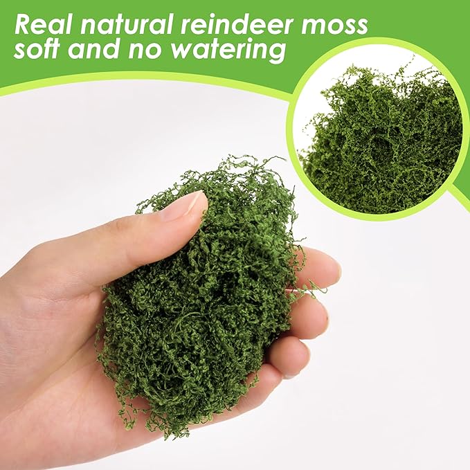 6 Colors Artificial Moss for Crafts 21.16oz, Fake Moss, Green Moss for Plants Indoor, Christmas Wreath, Fairy Garden, Model Making, DIY Table Centerpieces, Walls Decor, Wedding Party Decoration