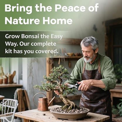 Bonsai Tree Kit for Beginners - Unique DIY Japanese Bonsai Trees, Crafts for Adults, for Women & Men,Complete Indoor Plant Kit