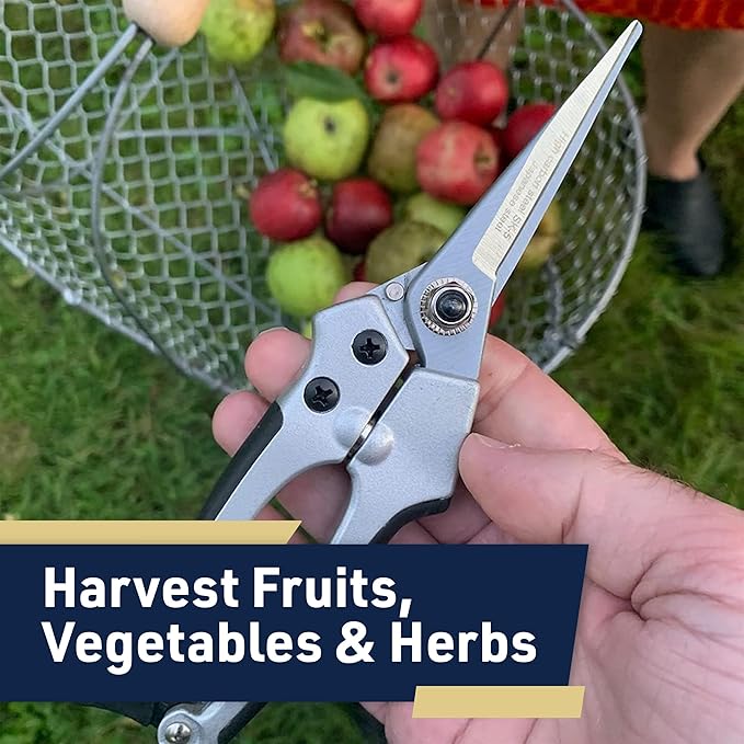 Pruning Shears - Garden Scissors Florist Snips - 2.5” Blades - Flower Scissors for Cutting Fresh Flowers, Trimming, or Harvesting Herbs or Fruit - Pruners for Gardening Tools by Kings County Tools