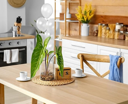 SUNPRAIRIE Realistic Faux Plant in Clear Pot with Artificial Water, Narrow Arrowhead Leaves. Artificial Plants Indoor and Outdoor