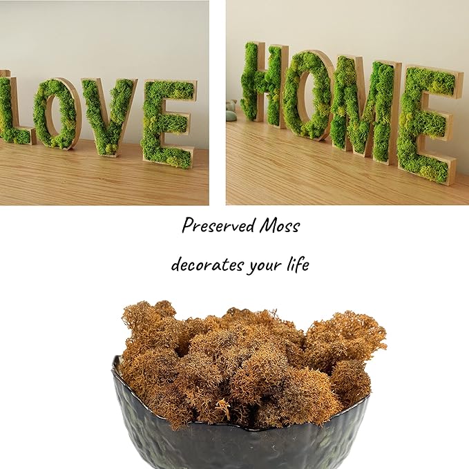 Moss Preserved Artificial Moss 8.8 oz Natural Fresh Green Moss for Craft Arts Floral Project Wall Decor Table Decor Wedding Centerpieces Garden Terrariums Decoration -Brown