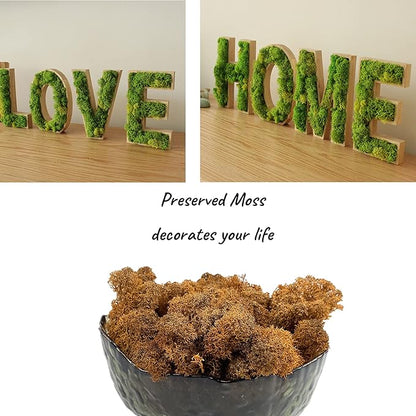 Moss Preserved Artificial Moss 8.8 oz Natural Fresh Green Moss for Craft Arts Floral Project Wall Decor Table Decor Wedding Centerpieces Garden Terrariums Decoration -Brown