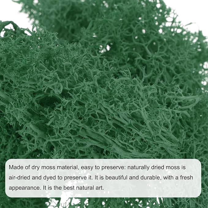 MECCANIXITY 3.5 OZ Moss Fake Craft Moss Artificial Moss Natural Preserved Moss for Craft Arts Floral DIY Project Wall Wedding Garden Patio Table Terrariums Decoration(Turquoise)