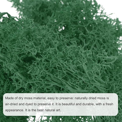 MECCANIXITY 3.5 OZ Moss Fake Craft Moss Artificial Moss Natural Preserved Moss for Craft Arts Floral DIY Project Wall Wedding Garden Patio Table Terrariums Decoration(Turquoise)