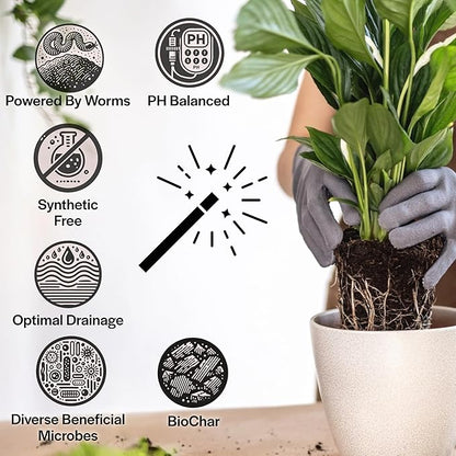 Craft Organic Houseplant Potting Mix, Elite House Plant Soil, Chunky, Well Draining Potting Soil for All Indoor Plants, Tropical Plants & Flowers, Sustainable & Peat Free, Less Prone to Gnats, 12QT