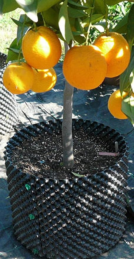 Air-Pot Superoots Air Planter Gardening Container for Root Health, Black Propagation Planter with Orange Base, Use 10+ Seasons, 1 Gallon Equivalent