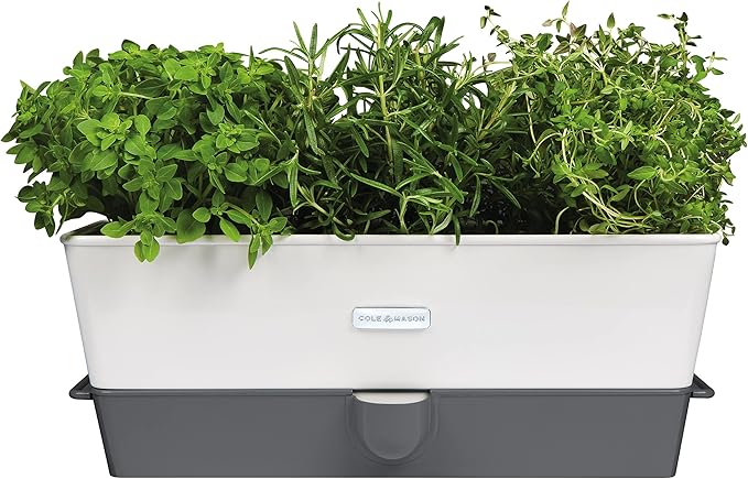 Cole & Mason Burwell Self-Watering Potted Herb Keeper Triple