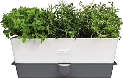 Cole & Mason Burwell Self-Watering Potted Herb Keeper Triple
