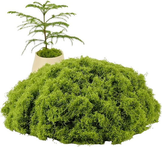 Green Moss Crafts, Artificial Grass Forest Potted Plants, DIY Craft Decoration for Wedding Christmas Party Decoration, Garden Flower Pots Home Decoration Indoor Planting (5.29 Ounces)
