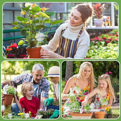 4 Pack Plant Watering Globes - 150ml Self-Watering Bulbs, Automatic Plant Waterer for Indoor & Outdoor Potted Plants, Vacation Plant Care Essential, Decorative Glass Design (150ml/5.12oz)