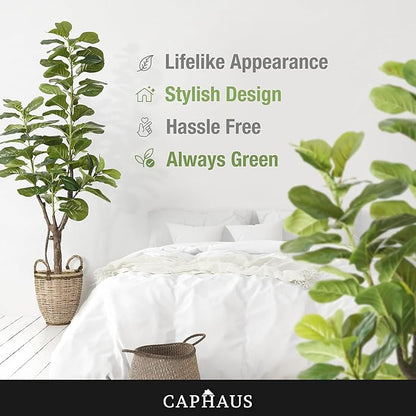 CAPHAUS Artificial Fiddle Leaf Fig Tree, 6/7 Feet in Pot with Dried Moss, for Indoor House Home Office Store, Potted Ficus Lyrata Faux Tree, Fake Plant Modern Decoration Gift for Housewarming