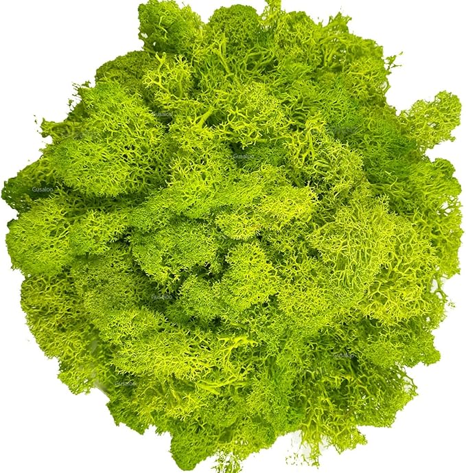 Moss Preserved Artificial Moss for Potted Plants Natural Fresh Green Moss for Crafts Arts Floral Project Wall Decor fake Moss Wedding Centerpieces Garden Terrariums Decoration Light-Yellow Green 3.5OZ