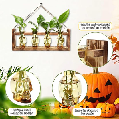 Plant Propagation Stations Halloween Skull Plant Terrarium Kit Glass Vases Gift for Father Air Planter Home Office Decor