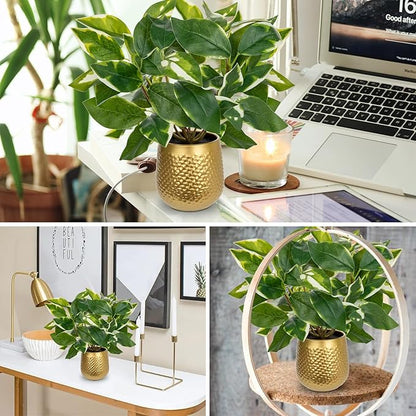 Oairse Articicial Plants Indoor Small Fake Plants in Pots Faux Pothos N‘ Joy Potted Plant Fake Indoor Plants with Gold Pots for Bathroom Living Room Office Desk Shelves