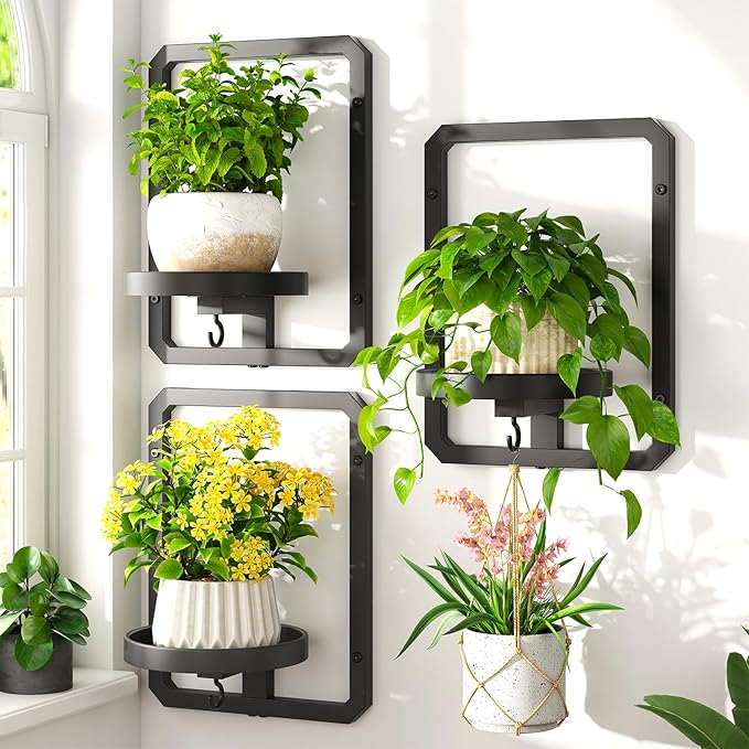 LASZOLA 3 Pcs Black Wall Mount Plant Shelves with Hangers for Indoor Flower, Heavy Duty Metal Window Floating Planter Holders Stand, Modern Iron Picture Frame with Hook Decorative for Kitchen Bathroom