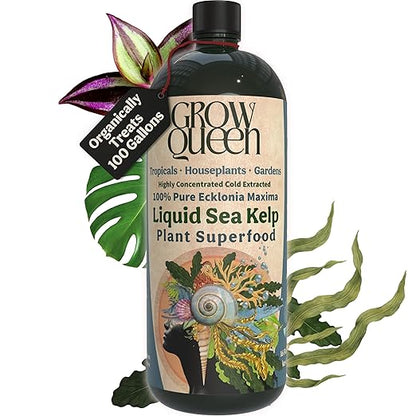 Organic Liquid Kelp & Seaweed Extract (Ecklonia Maxima) Super Plant Food - Indoor Houseplant Fertilizer - Organic Fertilizer for Flowers, Seedlings & Gardens - 16oz Treats 110 Gallons