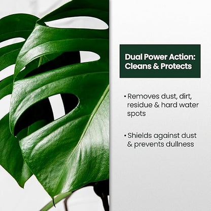 8oz Leaf Shine Spray for Indoor Plants - Plant Leaf Cleaner and Shine for Indoor Houseplants - Makes Leaves Shiny, Vibrant & Healthy