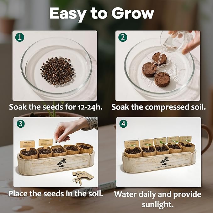 Bonsai Tree Kit for Beginners - Unique DIY Japanese Bonsai Trees, Crafts for Adults, for Women & Men,Complete Indoor Plant Kit