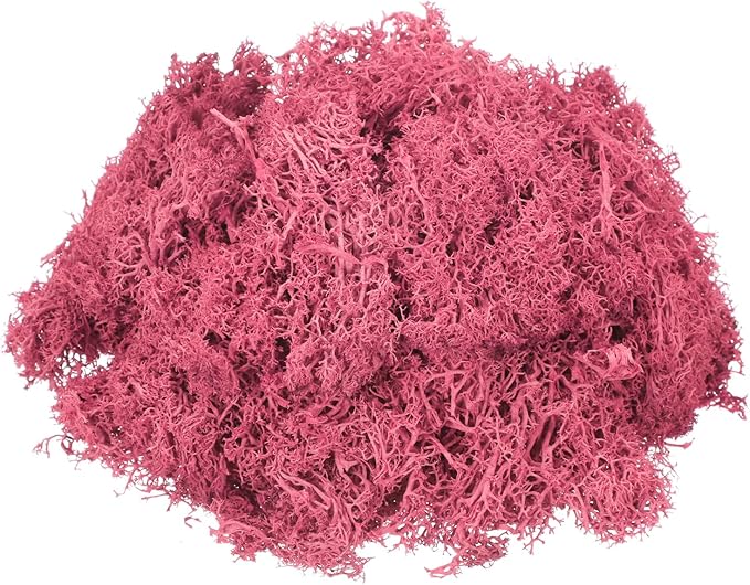 MECCANIXITY 3oz Preserved Reindeer Moss, Dark Pink Decorative Artificial Fake Moss for Potted Plants Indoor Crafts Lichen Centerpieces Decor