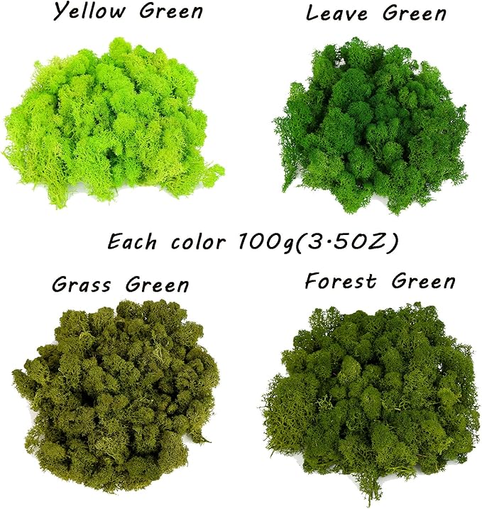 Amoueterno Preserved Moss 4 Color Reindeer Moss,Total 14OZ Each Color 3.5OZ, Natural Real Green Moss DIY Kit Moss Crafts Art Wall Decor Florist Decor Forest Green/Yellow Green/Leaves Green/Grass Gree