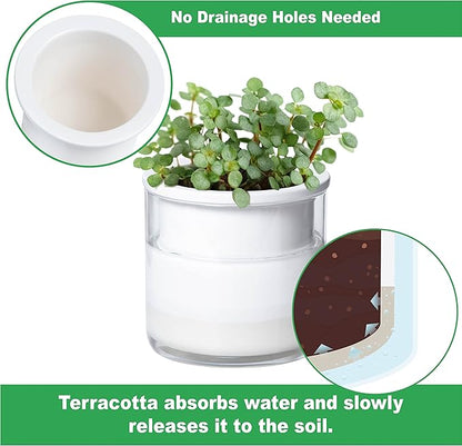 Phoenix Vine 4 Inch Self Watering Planter Pot, Design White Terracotta Pots for Plants, Indoor Cylinder Terra Cotta Pots with Glass Vase, Set of 2, 51-B-E-2