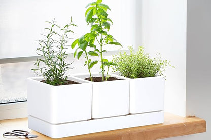 D'vine Dev Herb Garden Planter Set, Plastic Plant Pots with Drainage and Saucer, Indoor Succulent Cactus Vegetable Pot for Windowsill, Garden Balcony, White, Set of 2, 76-V-A-2