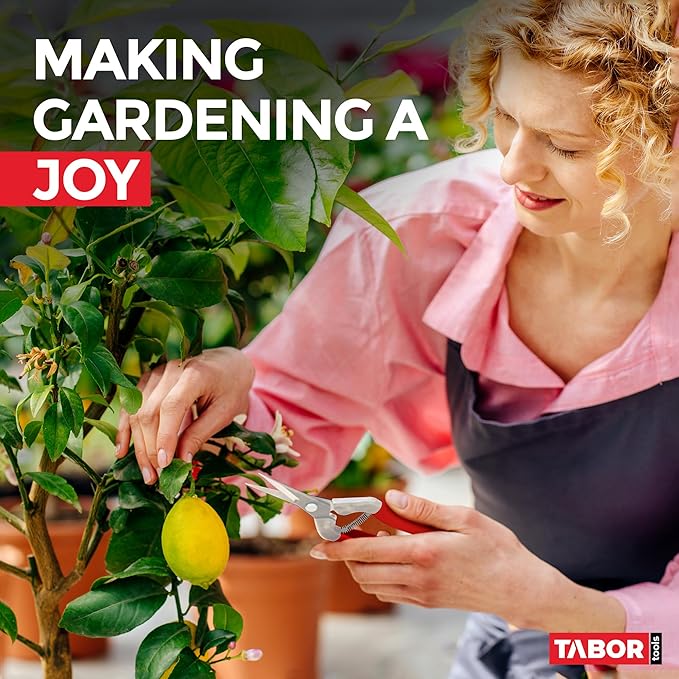 TABOR TOOLS Pruning Shears, Florist Scissors, Multi-Tasking Garden Snips for Arranging Flowers, Trimming Plants and Harvesting Herbs, Fruits or Vegetables. K17A. (Straight, Stainless Steel Blades)