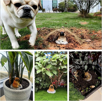 Groundhog Statue - Charming Groundhog Garden Animal Statue: Lifelike Decor Accent for Your Yard or Patio - Add Personality to Your Outdoor Space