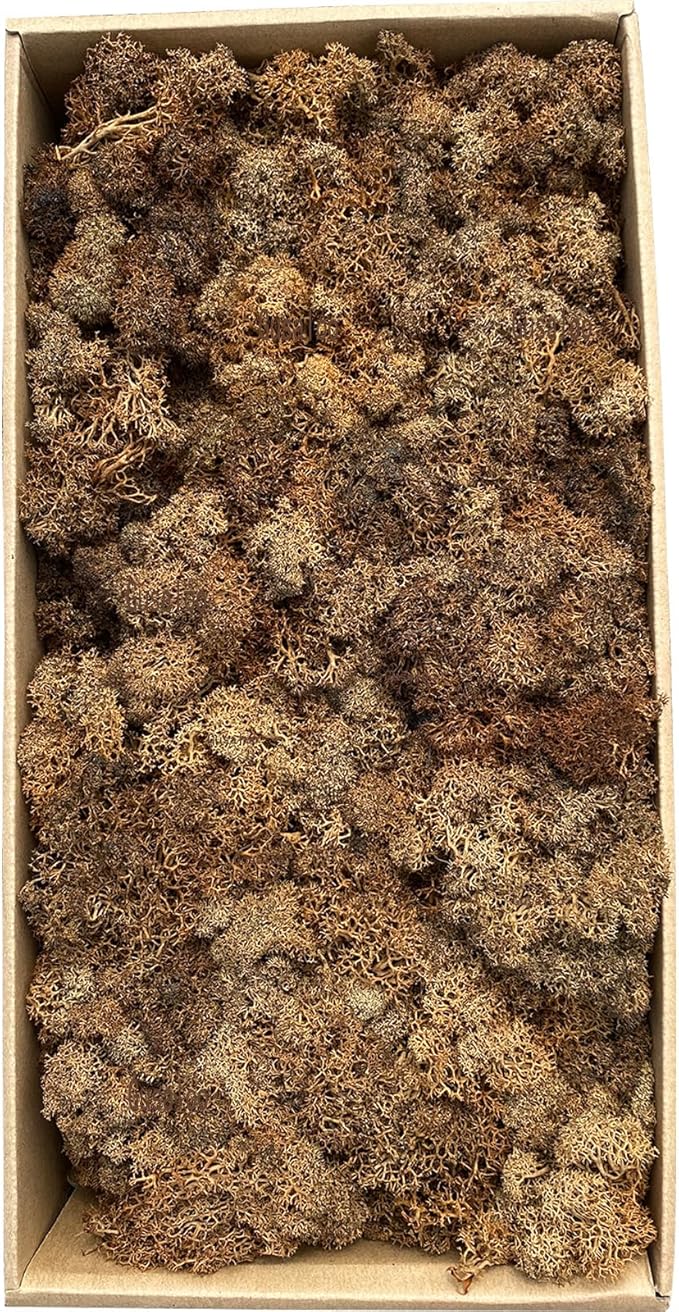 Preserved Moss 1.1lb Artificial Moss for Potted Plants Natural Fresh Green Moss for Crafts Fake Moss Arts Floral Orchid Wall Decor Wedding Centerpieces Garden Terrariums Christmas Decoration -Brown