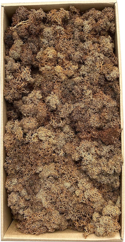 Preserved Moss 1.1lb Artificial Moss for Potted Plants Natural Fresh Green Moss for Crafts Fake Moss Arts Floral Orchid Wall Decor Wedding Centerpieces Garden Terrariums Christmas Decoration -Brown