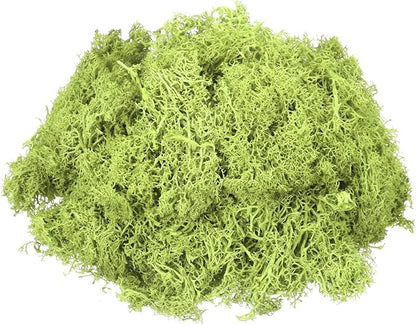 MECCANIXITY 4.6oz Preserved Reindeer Moss, Bright Green Decorative Artificial Fake Moss for Potted Plants Indoor Crafts Lichen Centerpieces Decor