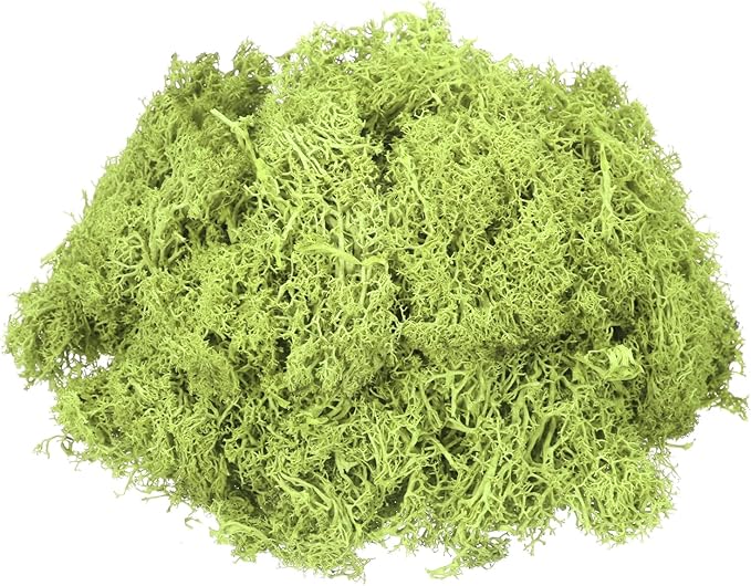 MECCANIXITY 3oz Preserved Reindeer Moss, Bright Green Decorative Artificial Fake Moss for Potted Plants Indoor Crafts Lichen Centerpieces Decor
