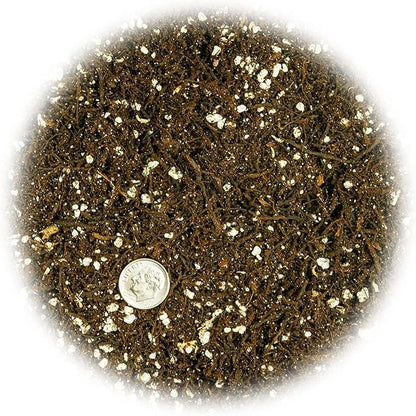 Gardenera Fern + Perlite Soil Mix for Repotting and Planting Succulents and Cactuses - 4 Quart Bag