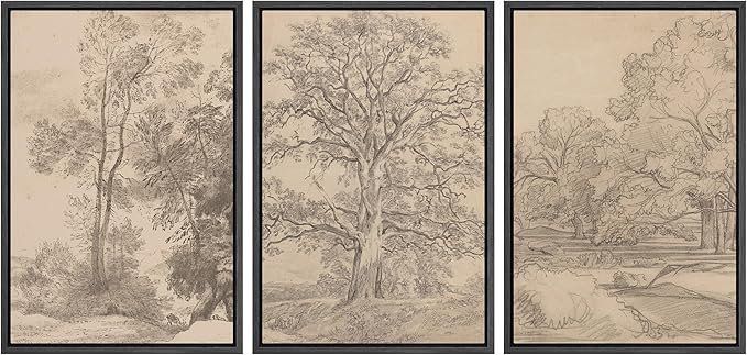 Ashbrook Framed Canvas Print Wall Art Set Retro Vintage Sketchbook Forest Country Landscape Farmhouse Decor Nature Wilderness Illustrations Floral Botanical Retro for Bedroom - 24"x36"x3 BLACK