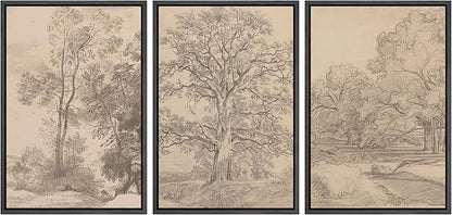 Ashbrook Framed Canvas Print Wall Art Set Retro Vintage Sketchbook Forest Country Landscape Farmhouse Decor Nature Wilderness Illustrations Floral Botanical Retro for Bedroom - 16"x24"x3 BLACK