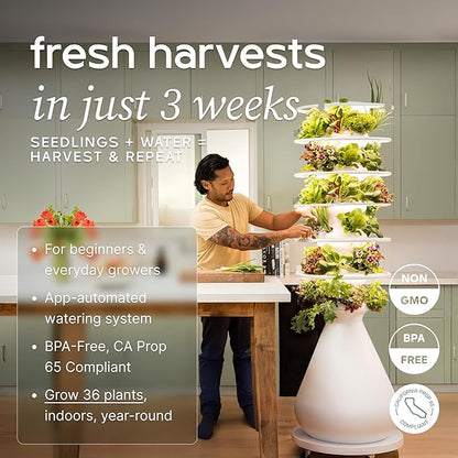 Farmstand Starter Kit with Glow Rings and 36 Seedling Credits | Large Hydroponic Growing System Kit | Vertical Garden Planter Tower | 6ft 7in Tall