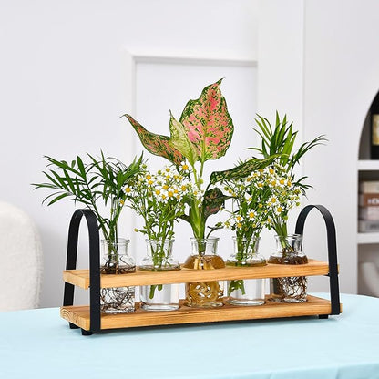 Plant Propagation Station with Wood Stand, Desktop Terrarium for Hydroponic, Flower Vase for Home, Kitchen, Office Decor, Plants Lover Gifts
