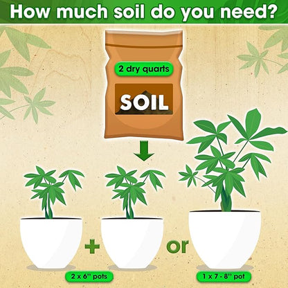 DUSPRO Recycle Money Tree Soil Indoor, Premium Coco Coir Perlite Mix and Pine Bark for Money Tree, Ideal Money Tree Soil for Healthy Growth and Nourishment (6 Quarts)
