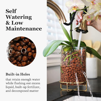 Pot & Pebble - C9 Glass Planter with Decorative Metal Base - Plant Propagation Station with Water Level Control - Plant Cutting Holder for LECA Clay Pebbles/Similar Media - Semi Hydroponic Planter