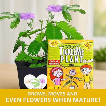 Happy Birthday Mom TickleMe Plant Gift Box Set to Grow A Touch-Sensitive Shy Plant That Closes Its Leaves When You Tickle Or Blow A Kiss | Fun Interactive Grow Kit with Seeds, Pot, Soil, Instructions