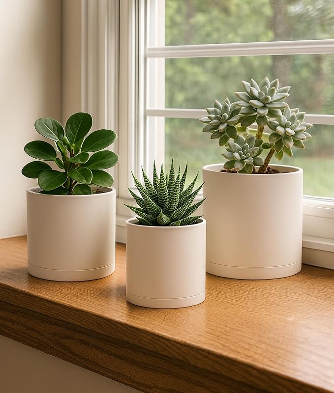 D'vine Dev 4 Inch 5 Inch 6 Inch, Set of 3 Plastic Planter Pots for Plants with Drainage Hole and Seamless Saucers, Oatmeal, Small, 74-V-H-1
