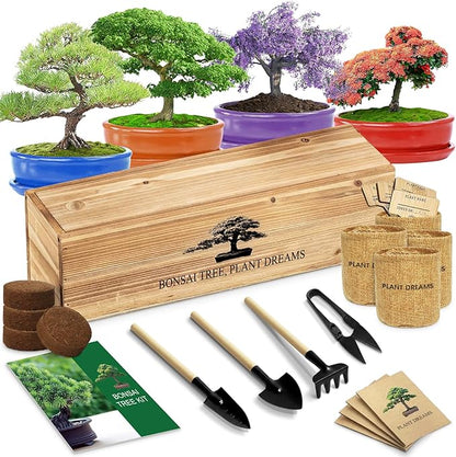 Bonsai Starter Kit with Seeds, Tools & Planters, Live Plants Indoor, Gardening Gifts for Women Men Mom Father Plant Lover